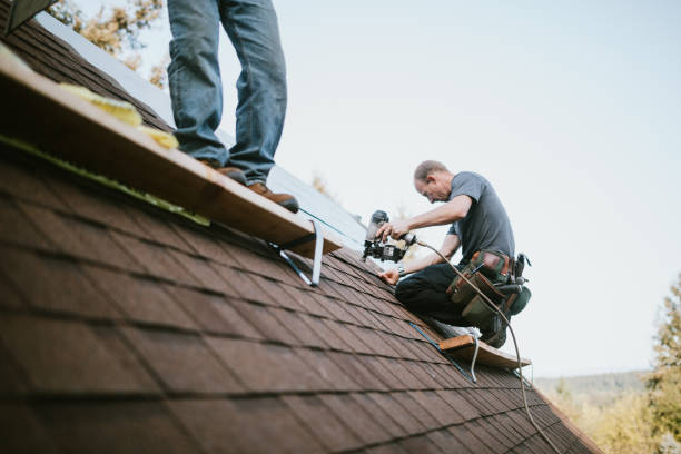 Best Residential Roofing Contractor  in Burlington, IA